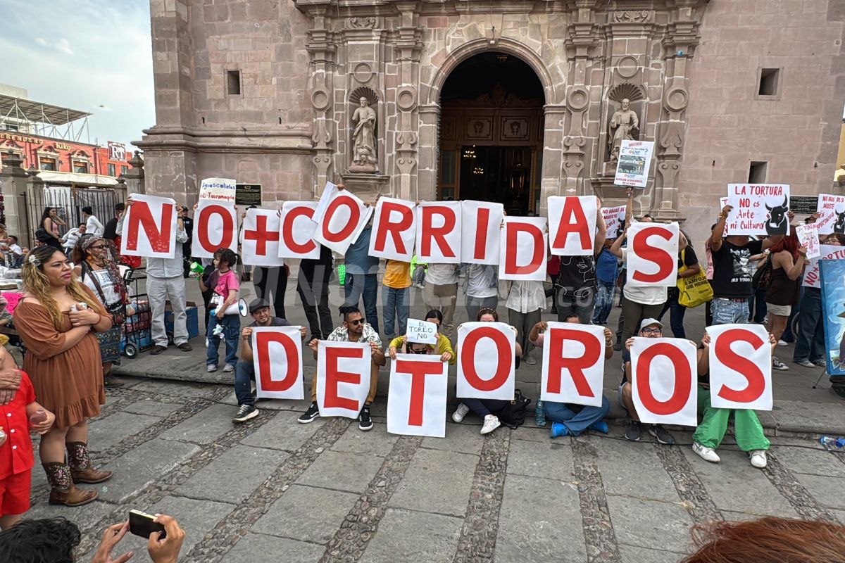 Activistas llegaron a partir de las 16:30 horas. 