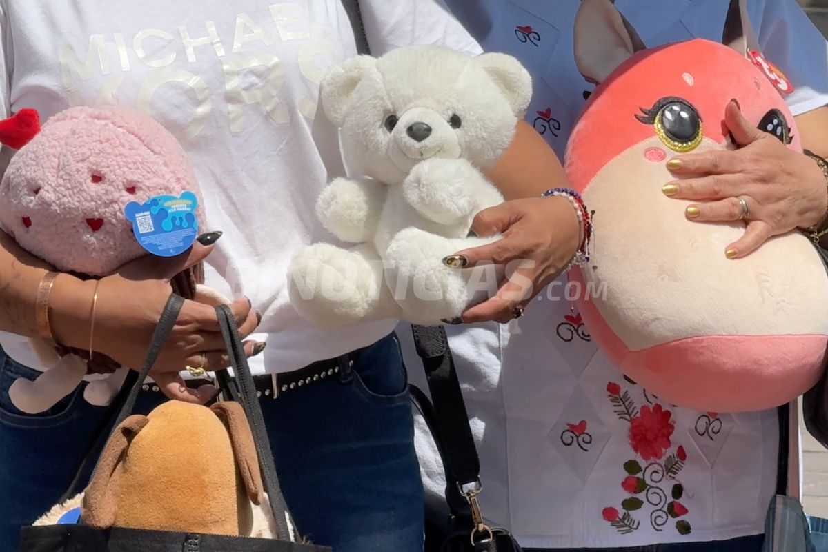 Pidieron llevar peluches para entregar a pacientes oncológicos pediátricos.