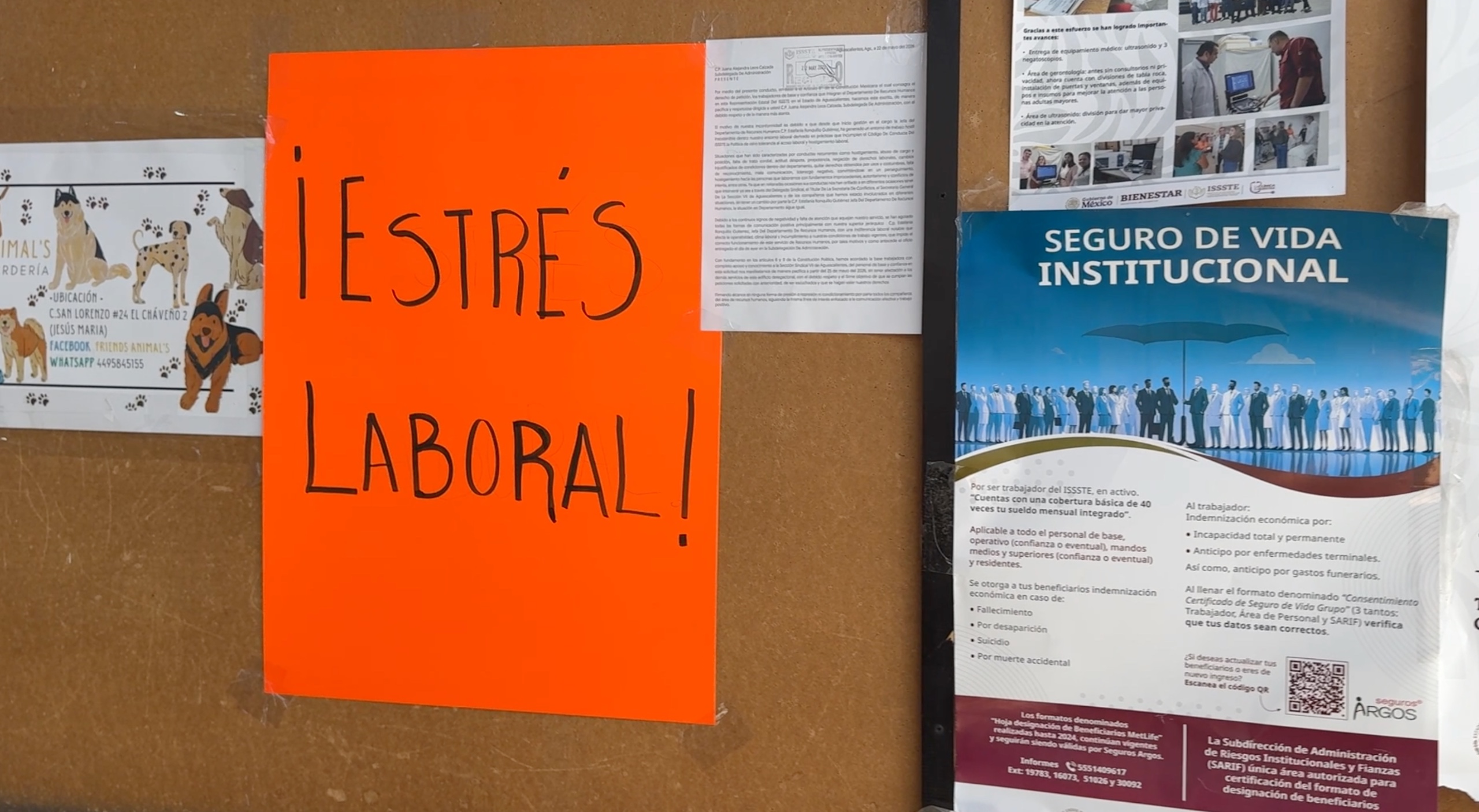 Señalan estrés laboral y represalias.