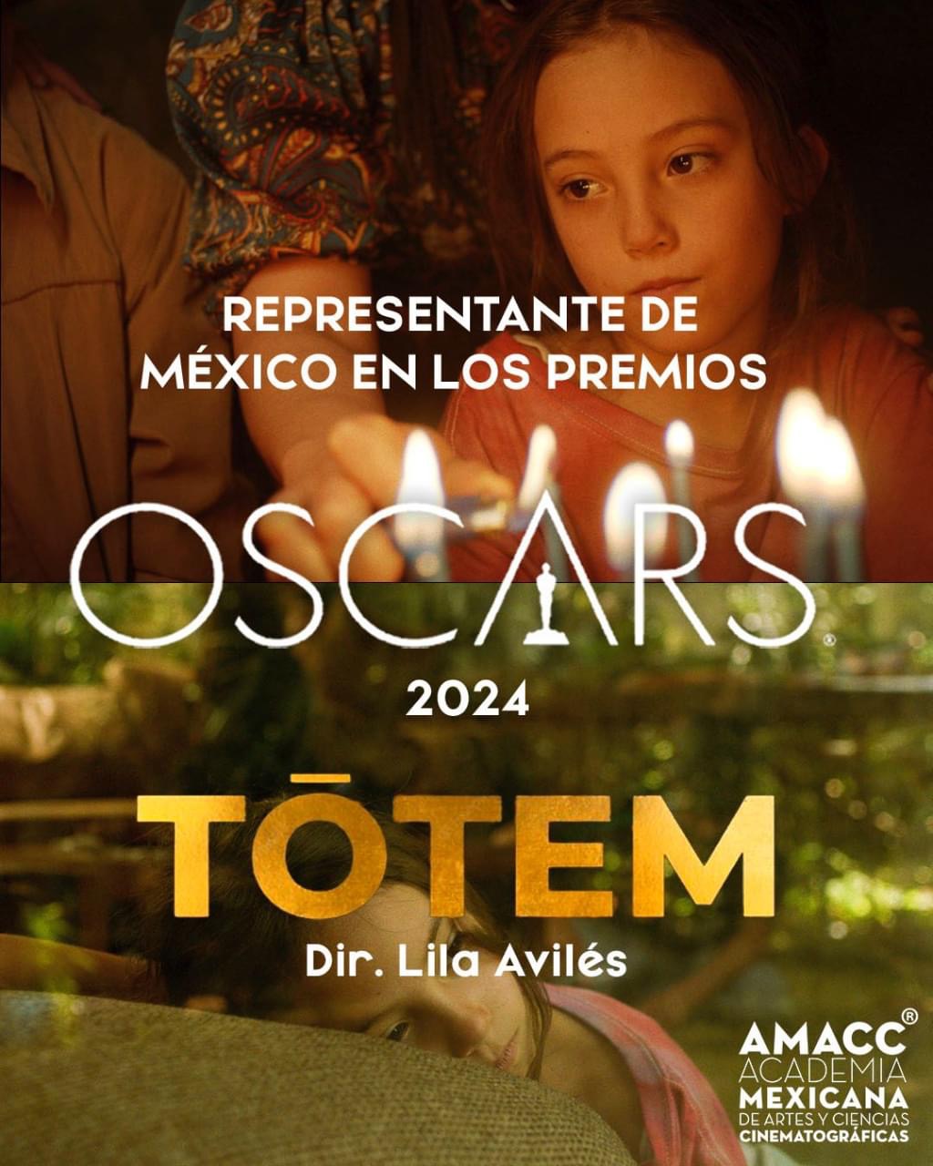 Imagen eliminada.