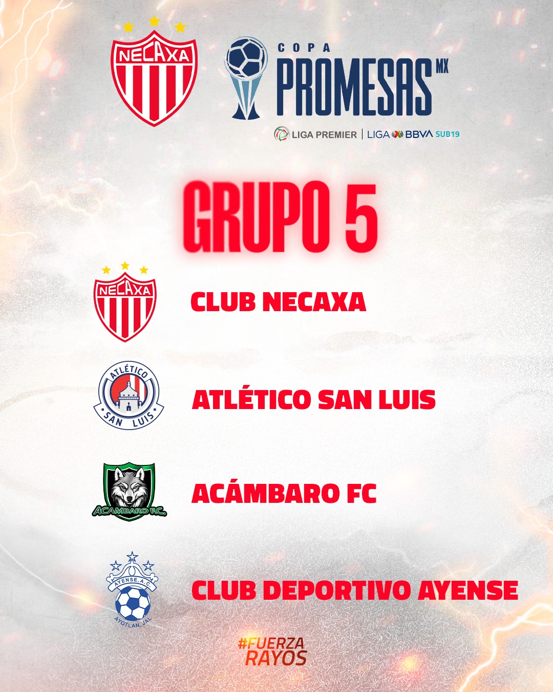 Imagen eliminada.