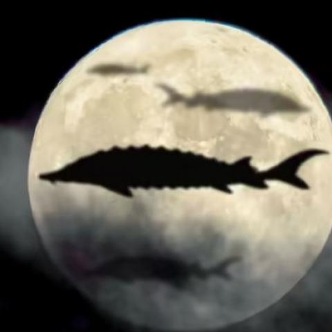 Luna de Asturión