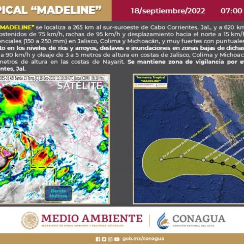 Madeline 
