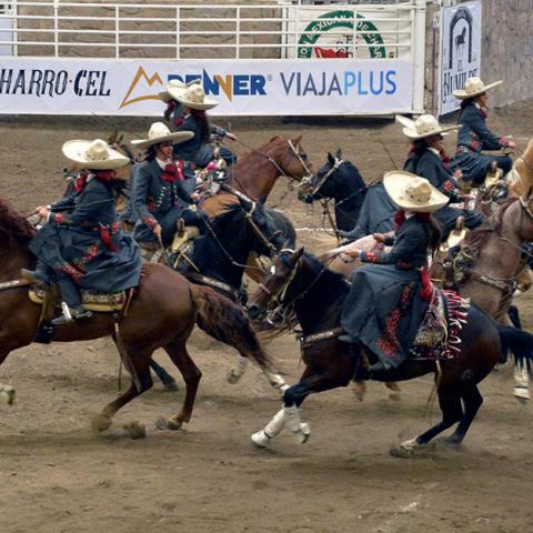 San Marqueña Oro