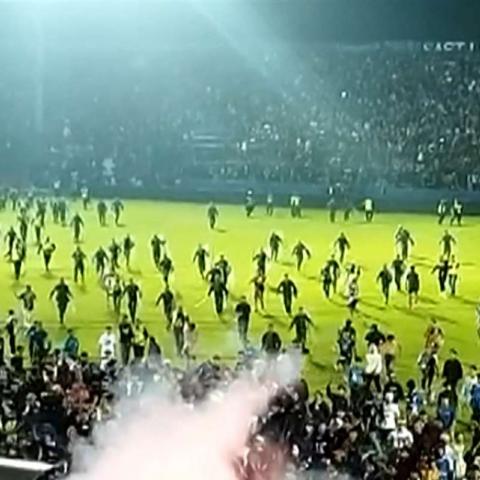 estadio