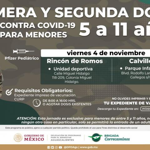 vacuna menores 