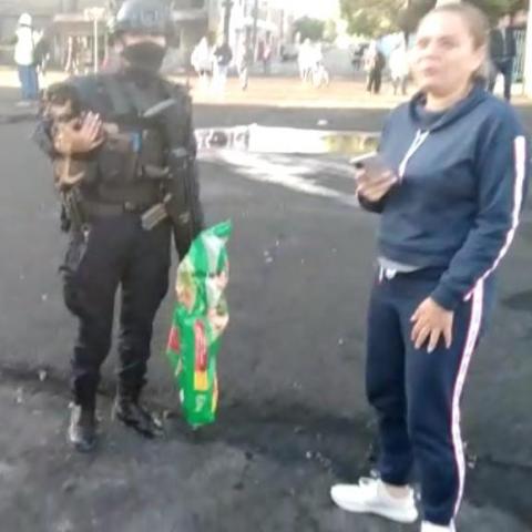 mascotas