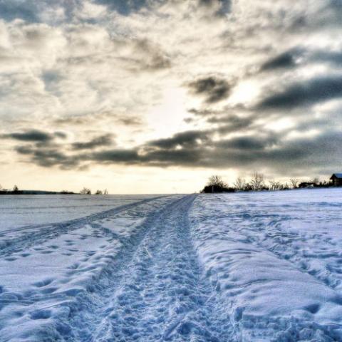 Nieve