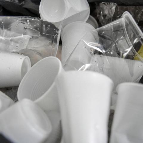 plasticos
