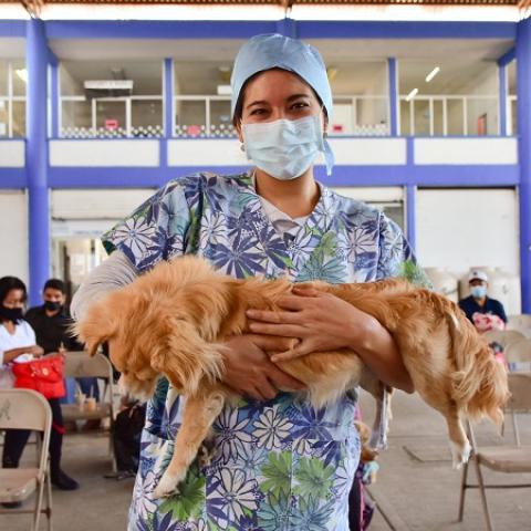Esterilización 