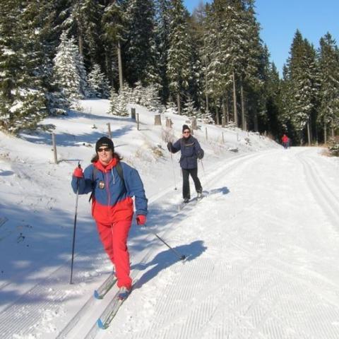 Esquiar en Austria 