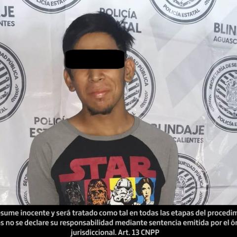 distribuidor 