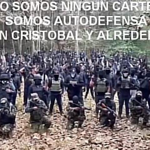 Grupo de autodefensa 