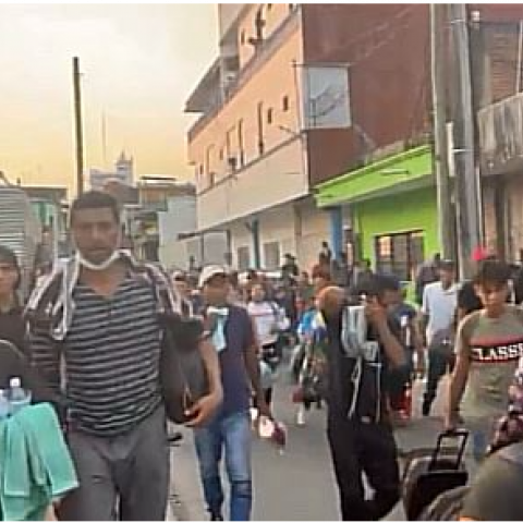 Migrantes 
