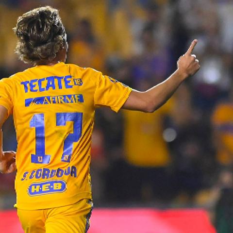 TIGRES A CUARTOS