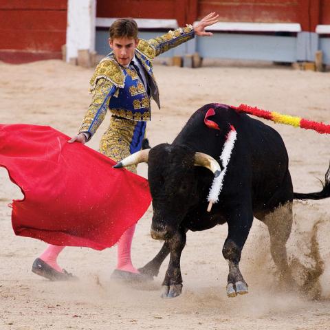 Corridas de toros 