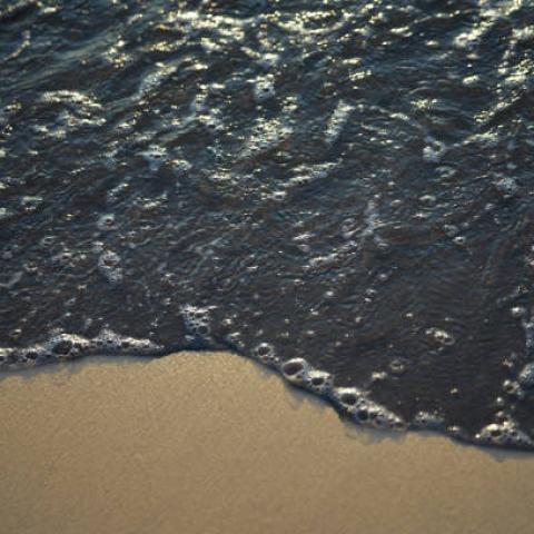 Denuncian presencia de crudo en costa de Tamaulipas