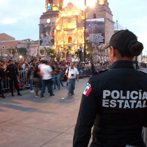 Seguridad Pública