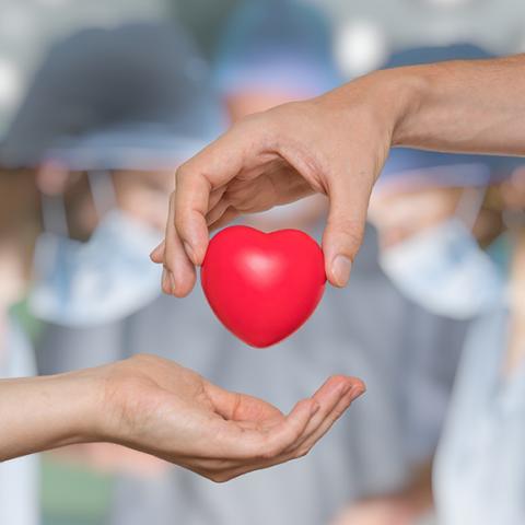 Donación de Órganos