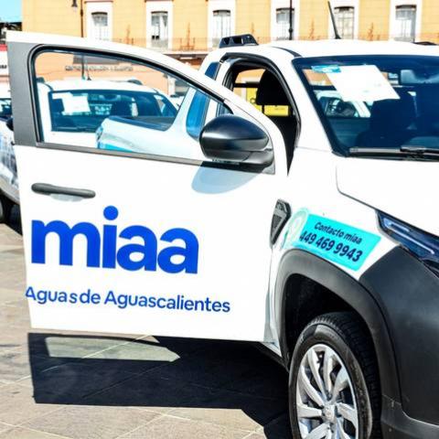MIAA