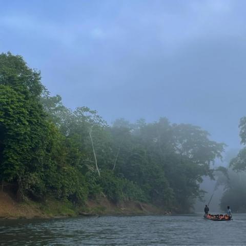 Selva