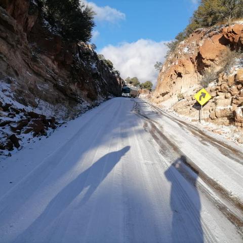 Hoy se esperan nevadas en varios estados