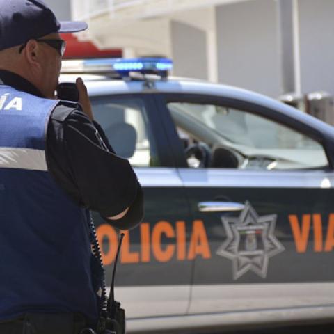 Seguridad Pública