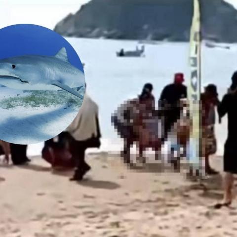 (IMÁGENES SENSIBLES) En Melaque, mujer pierde la vida tras ser atacada por un tiburón