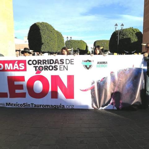 La organización ha logrado recabar más de 81,000 firmas de personas que exigen la prohibición de las corridas de toros en México.