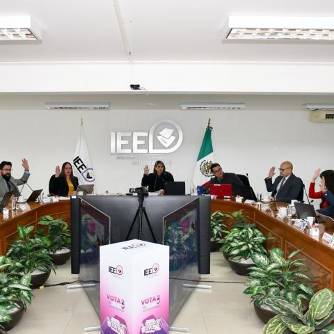 IEE Aguascalientes 