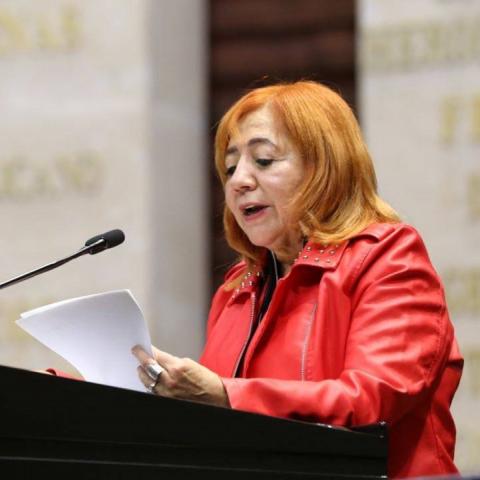 Propone eliminar a la CNDH... ¡la presidenta de la CNDH!