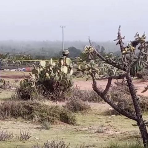 Otra vez Zacatecas: ahora 8 muertos por enfrentamiento armado 