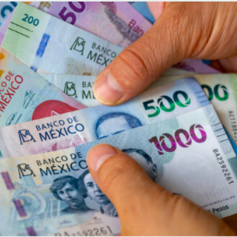 ECONOMÍA