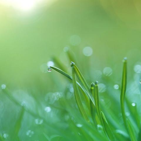Gotas de agua