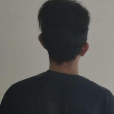 Distribuidor 
