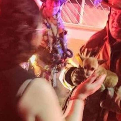 Se consumieron varios artículos de una familia, pero se desconoce qué provocó las llamas