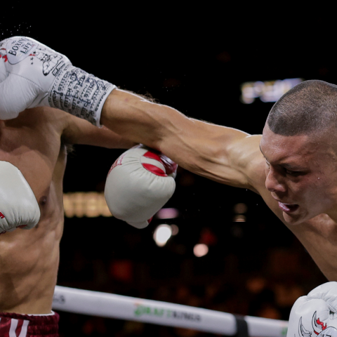 Pitbull Cruz