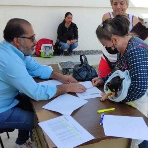 Arranca campaña de esterilización gratuita para caninos y felinos
