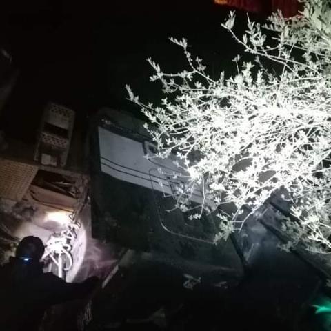 Trailero muerto 