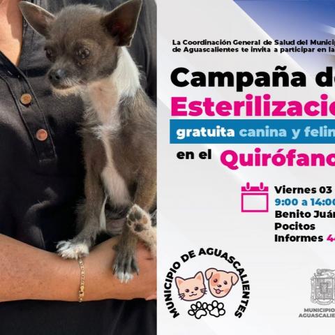 El Quirófano Veterinario Móvil estará este viernes en Pocitos