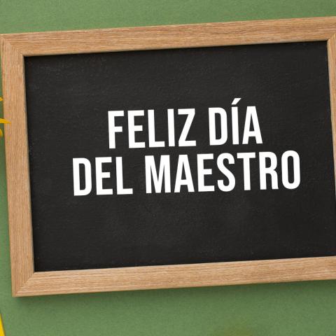 DOCENTES
