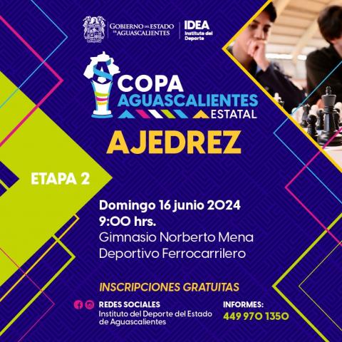 Copa Aguascalientes 2024