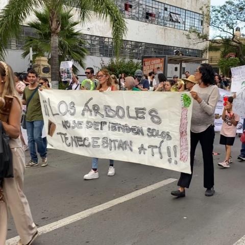 Alianza por la Defensa de Nuestros Árboles y Áreas Verdes