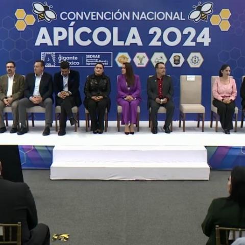 Apicultura