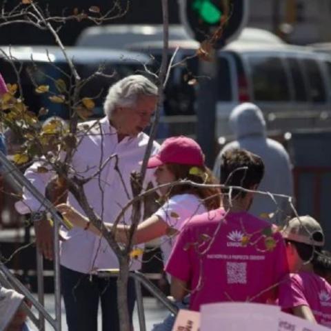  Marea Rosa 