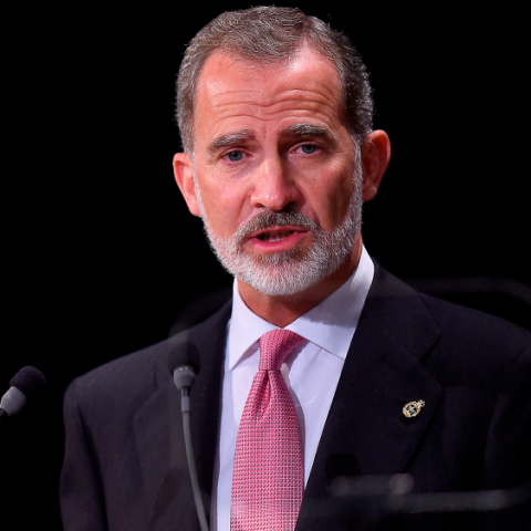 Rey Felipe VI