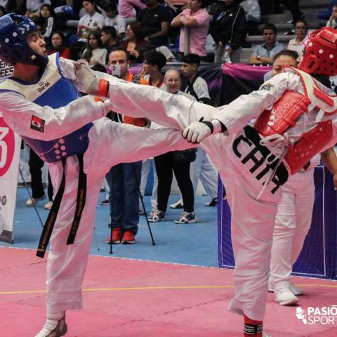 Taekwondo