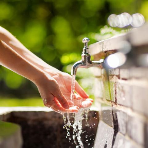 Disponibilidad de agua 