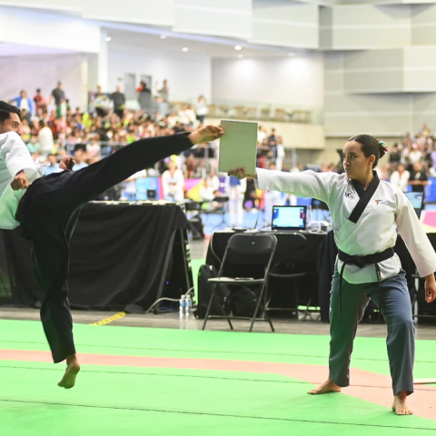 4to Festival Abierto Mexicano de TKD