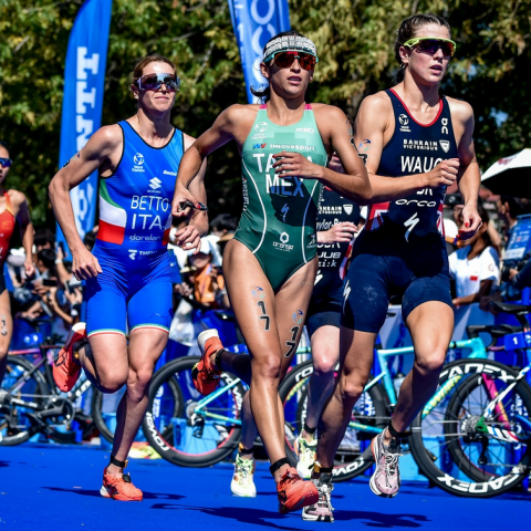 Campeonato Mundial de Triatlón 